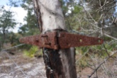Old Fencing
