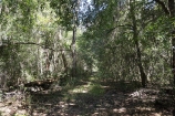 Withlacoochee Wilderness Camp-Camp Withlacoochee